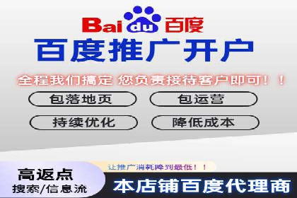 百度推广服务费案例：如何利用预算最大化效果